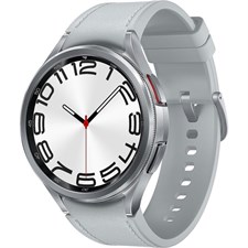 Samsung Galaxy Watch6 Classic 47mm Silver R960